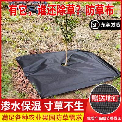 防草布除草布槟榔果园果树新型农用保湿地膜地布遮盖草布厂家直销