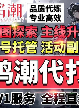 鸣潮代打代肝代练全探索度收集宝箱材料数据坞等级声骸带跑开地图
