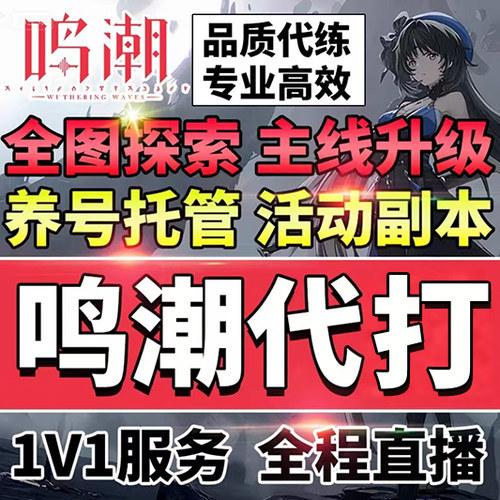 鸣潮代打代肝代练全探索度收集宝箱材料数据坞等级声骸带跑全地图