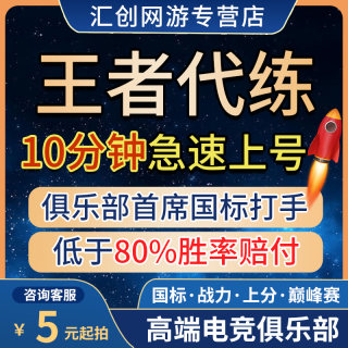 王者荣耀代练代打排位上分玩刷英雄战力巅峰赛金标省标送大小国标