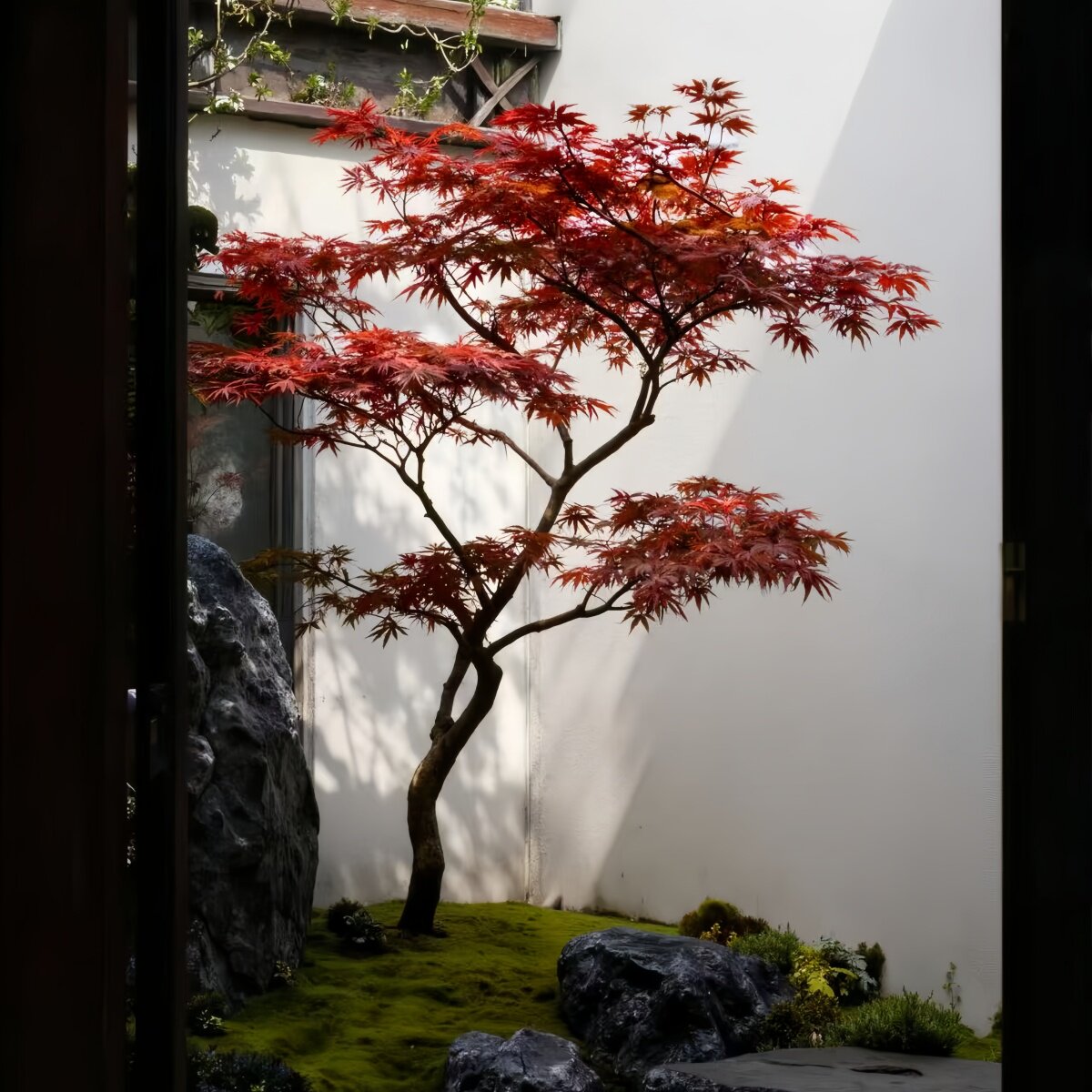 高端仿真红枫鸡爪槭仿生绿植套装图片