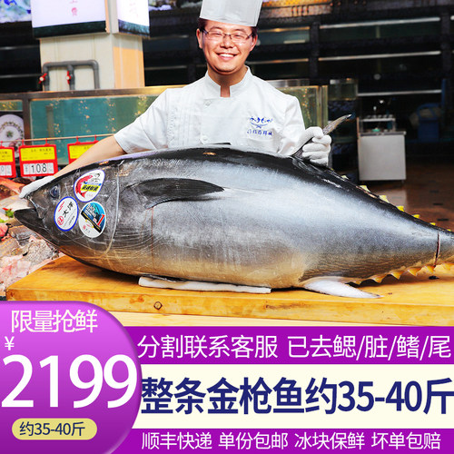 冷冻吞拿鱼刺身价格 冷冻吞拿鱼刺身图片 星期三