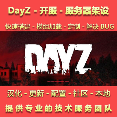 DayZ游戏搭建专业技术调试