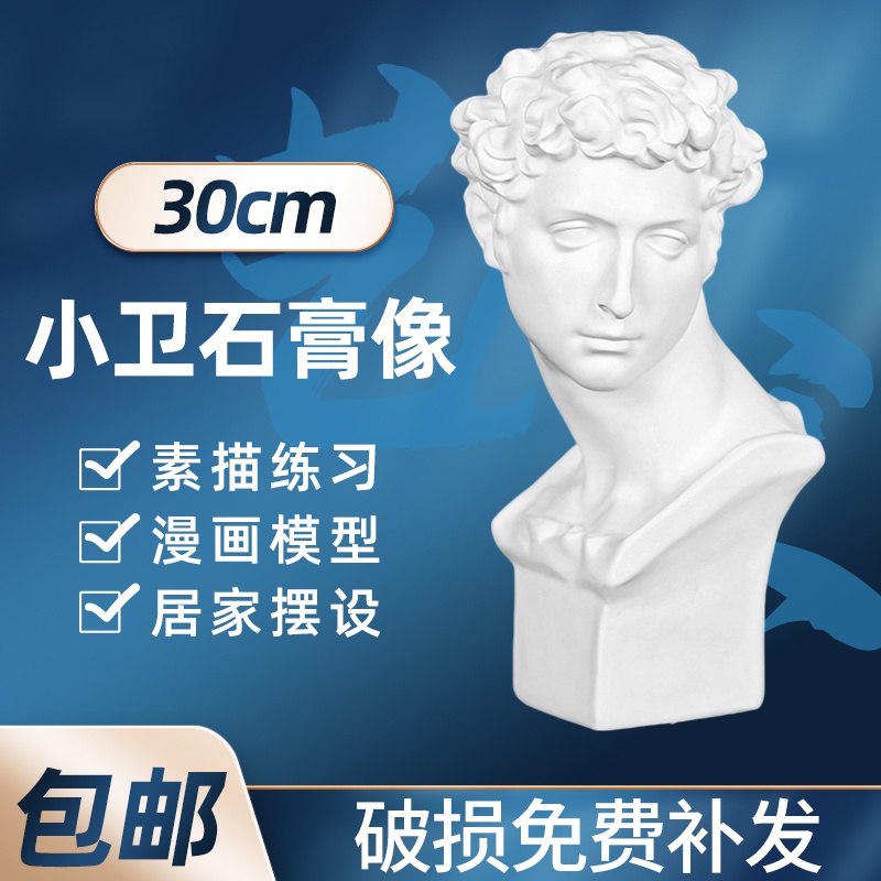 小卫石膏像石膏头像石膏雕塑素描头像石膏像美术教具