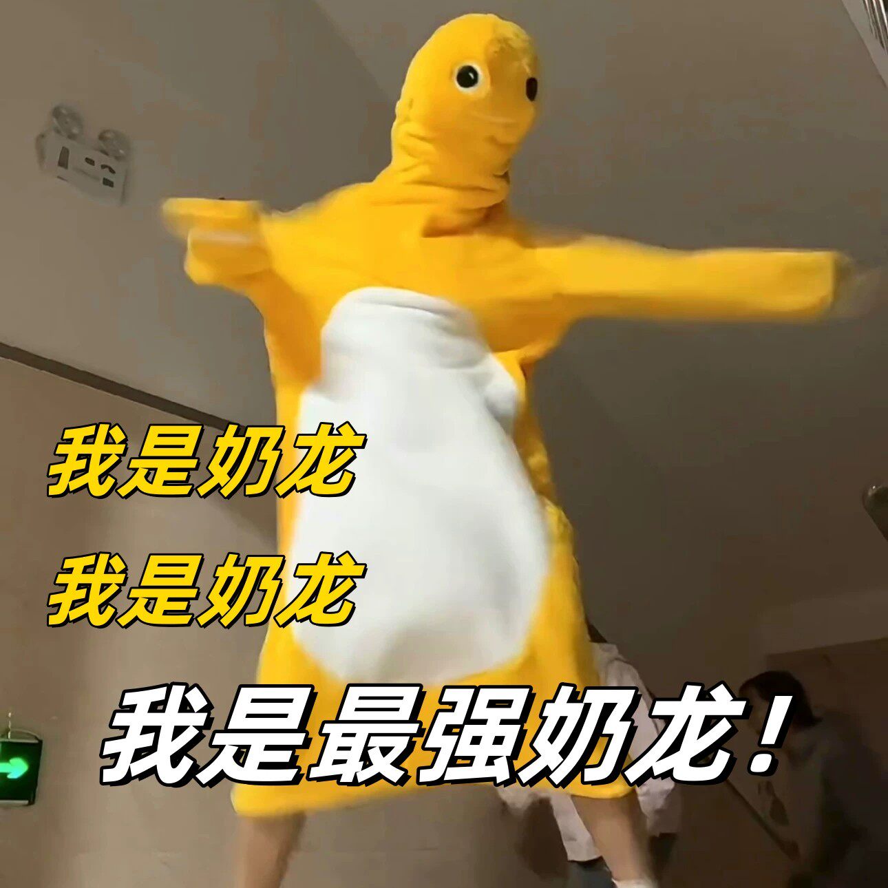奶龙cos服装毛绒睡衣连体万圣节图片