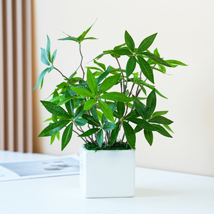仿真绿植大叶伞室内桌面茶几摆件ins简约发财树小盆栽假植物假花