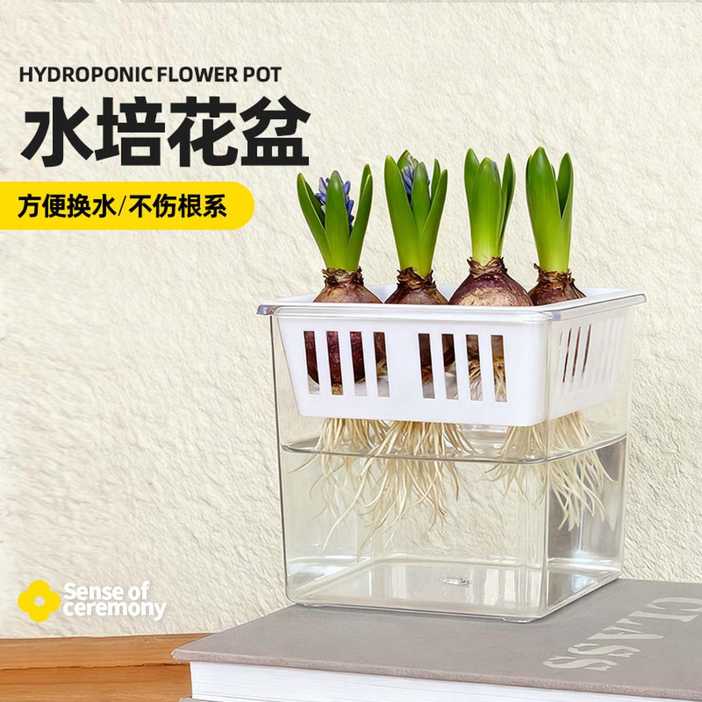 专用水培亚克力花瓶水培郁金香花盆含定植篮水养种球器皿方型花瓶图片