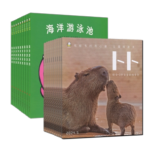 送12个绘本】东方娃娃杂志卜卜刊2026年1-12月全年订阅【纸板书+科学刊】0-3岁婴儿画报游戏手工智力开发睡前故事2023过刊