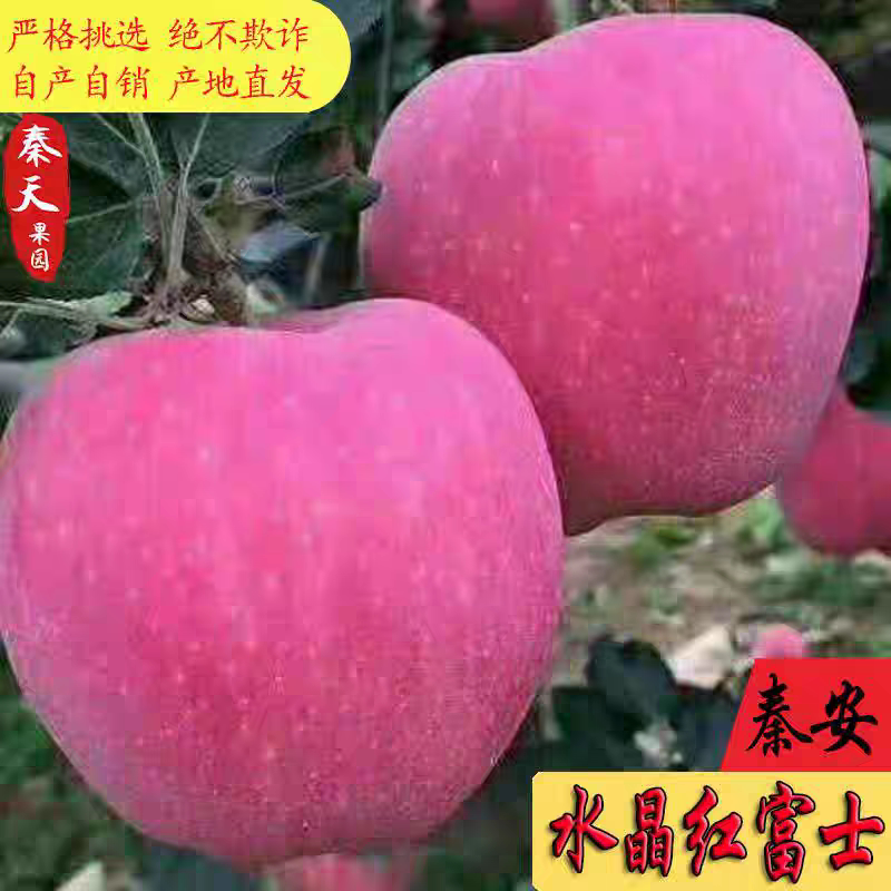 正宗雪原红甘肃天水秦安红富士脆甜水晶冰糖心红皮苹果新鲜水果图片