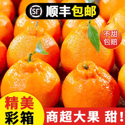 四川春见耙耙柑10斤新鲜水果应季整箱粑粑柑橘子杷杷丑柑桔