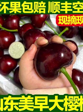 山东烟台大樱桃美早新鲜现摘