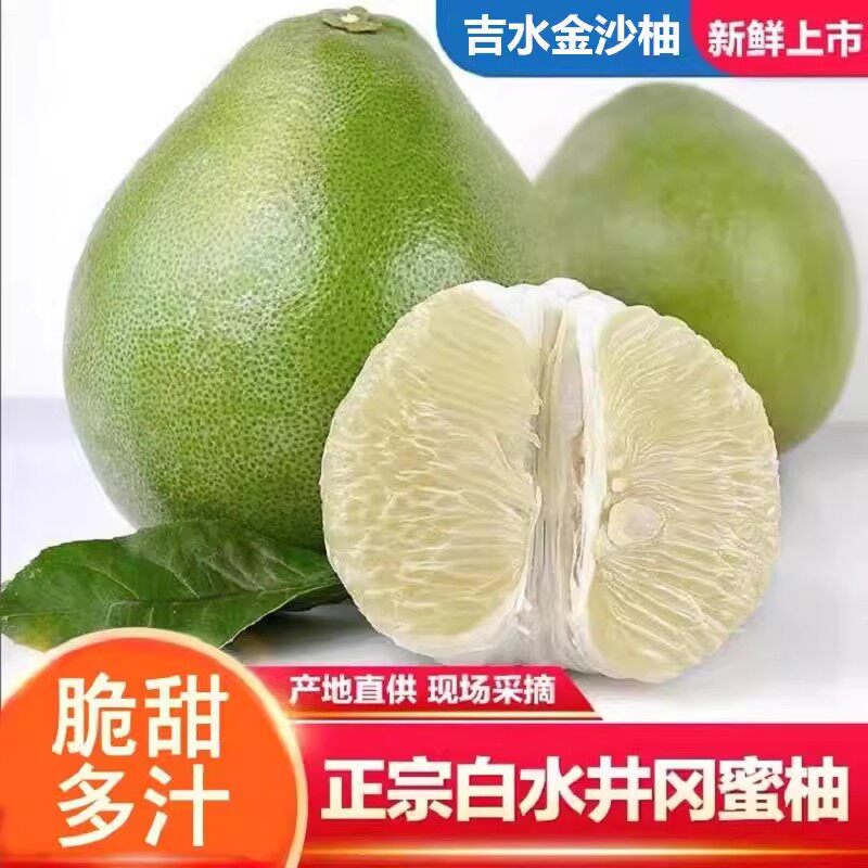 江西柚子井冈蜜柚金沙柚吉水白心柚子孕妇水果青皮小柚子现摘现发