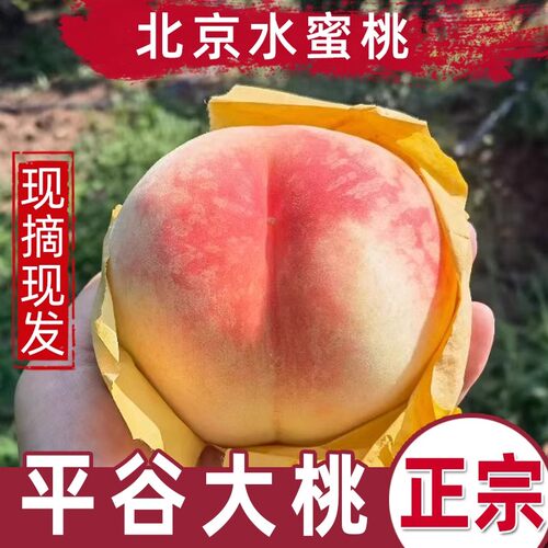 正宗平谷大桃北京水蜜桃脆软大果