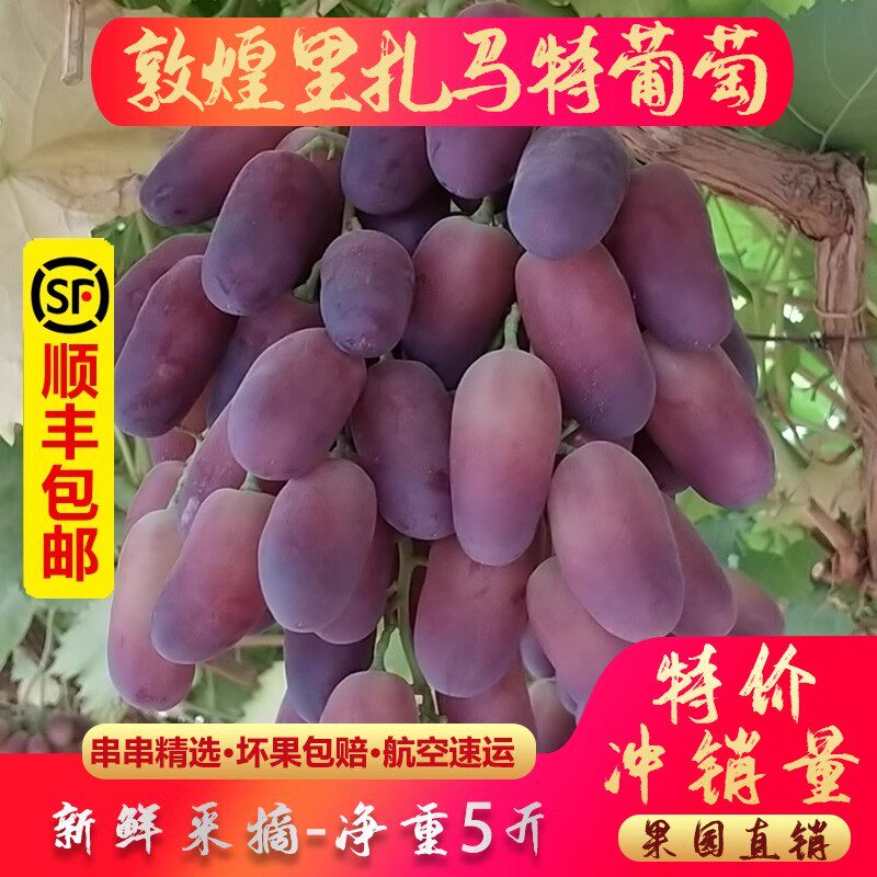 甘肃敦煌马特葡萄新鲜玛特脆甜现摘马奶提子当季特产水果整箱包邮