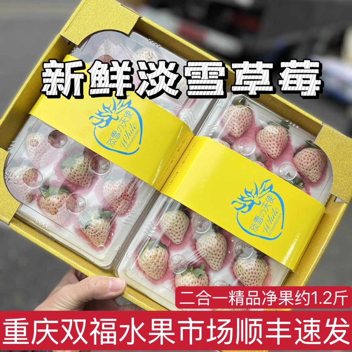 高端品种淡雪草莓新鲜白色草莓奶油水果辽宁丹东二合一礼盒送女友