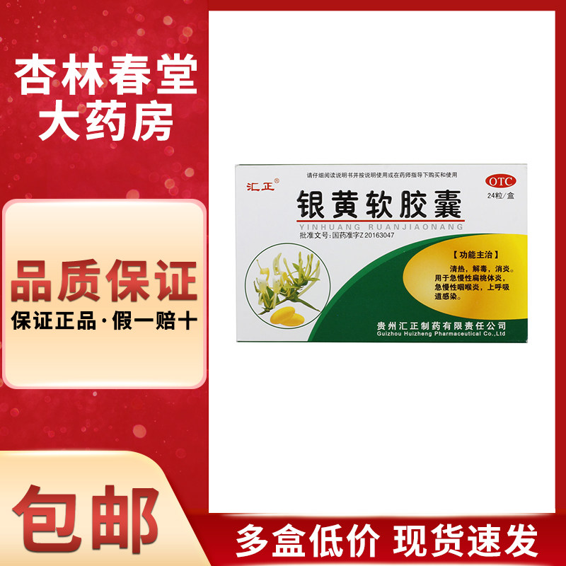 汇正 银黄软胶囊24片/盒 咽喉炎清热解毒消炎嗓子疼上呼吸道感染