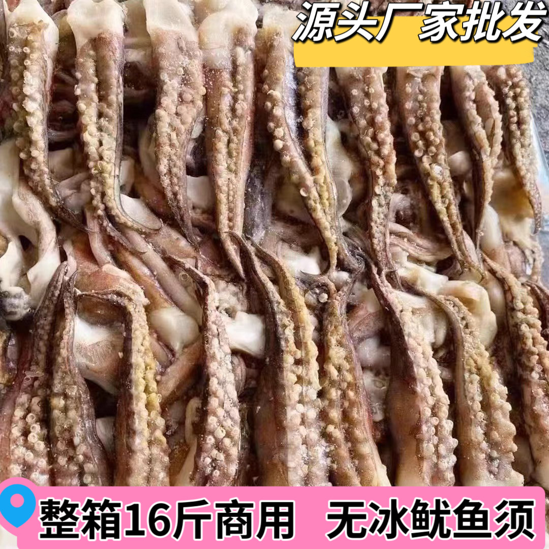 新鲜北太二本足鱿鱼须捞汁小海鲜烧烤自助食材无冰不缩水一箱16斤