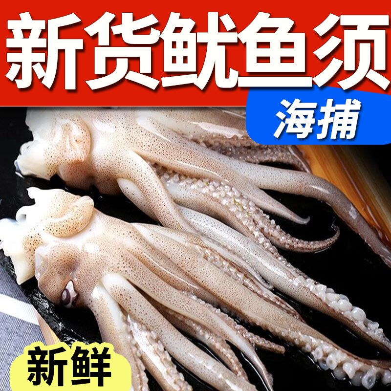 大号机洗鱿鱼须头冷冻鱿鱼头冰冻鱿鱼须章鱼足八爪鱼海鲜烧烤串