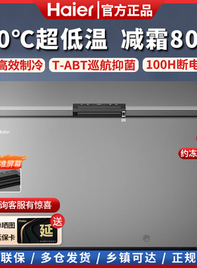 Haier/海尔 BC/BD-429FGHEPT 519冰柜商超用冷柜超低温冷藏冷冻