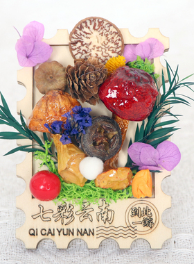 云南天然干花野生蘑菇创意冰箱贴