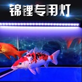 鱼缸灯led灯照明灯水族箱灯防水潜水灯三基色节能观赏鱼专用增艳