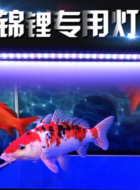 鱼缸灯led灯照明灯水族箱灯防水潜水灯三基色节能观赏鱼专用增艳