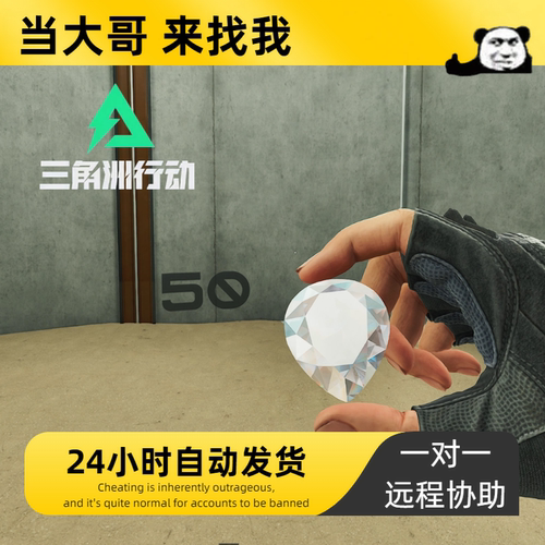 三角洲行动辅助PC端国服/steam平台主播学习资料【一对一服务】