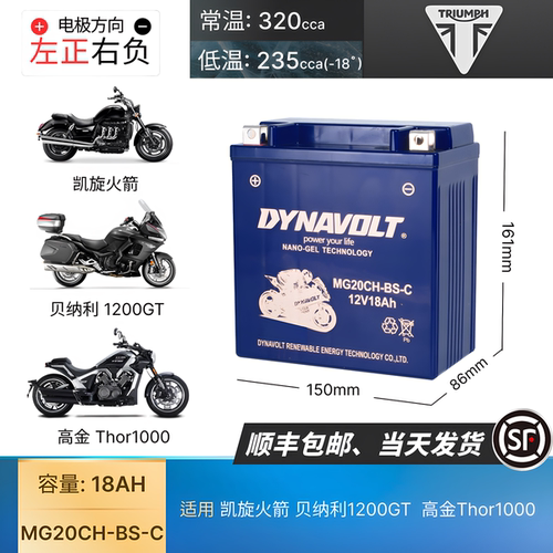 适用凯旋火箭贝纳利1200GT高金Thor1000 YTX20CH-BS摩托车12V电池