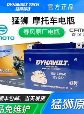 猛狮春风摩托车电瓶ST狒狒150/250NK/SR400NKGT650TR/MT国宾700CL