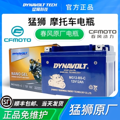 猛狮春风摩托车电瓶ST狒狒150/250NK/SR400NKGT650TR/MT国宾700CL