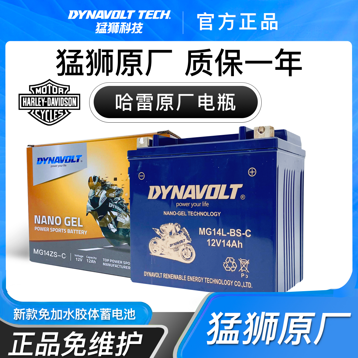 哈雷肥仔/戴娜/软尾/肥霸/摩托艇/突破者/公路大师摩托车电瓶
