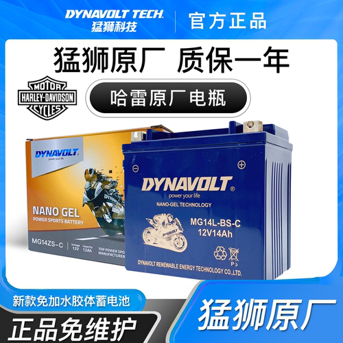 哈雷肥仔/戴娜/软尾/肥霸/摩托艇/突破者/公路大师摩托车电瓶