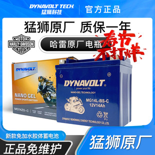 哈雷电瓶883/1200哈雷x48/v72哈雷软尾司令戴娜大滑翔硬汉750电瓶