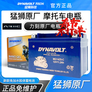 适用力刻318 LK250T/LK300T铃木GW250F/SDL250GSX250/R摩托车电瓶