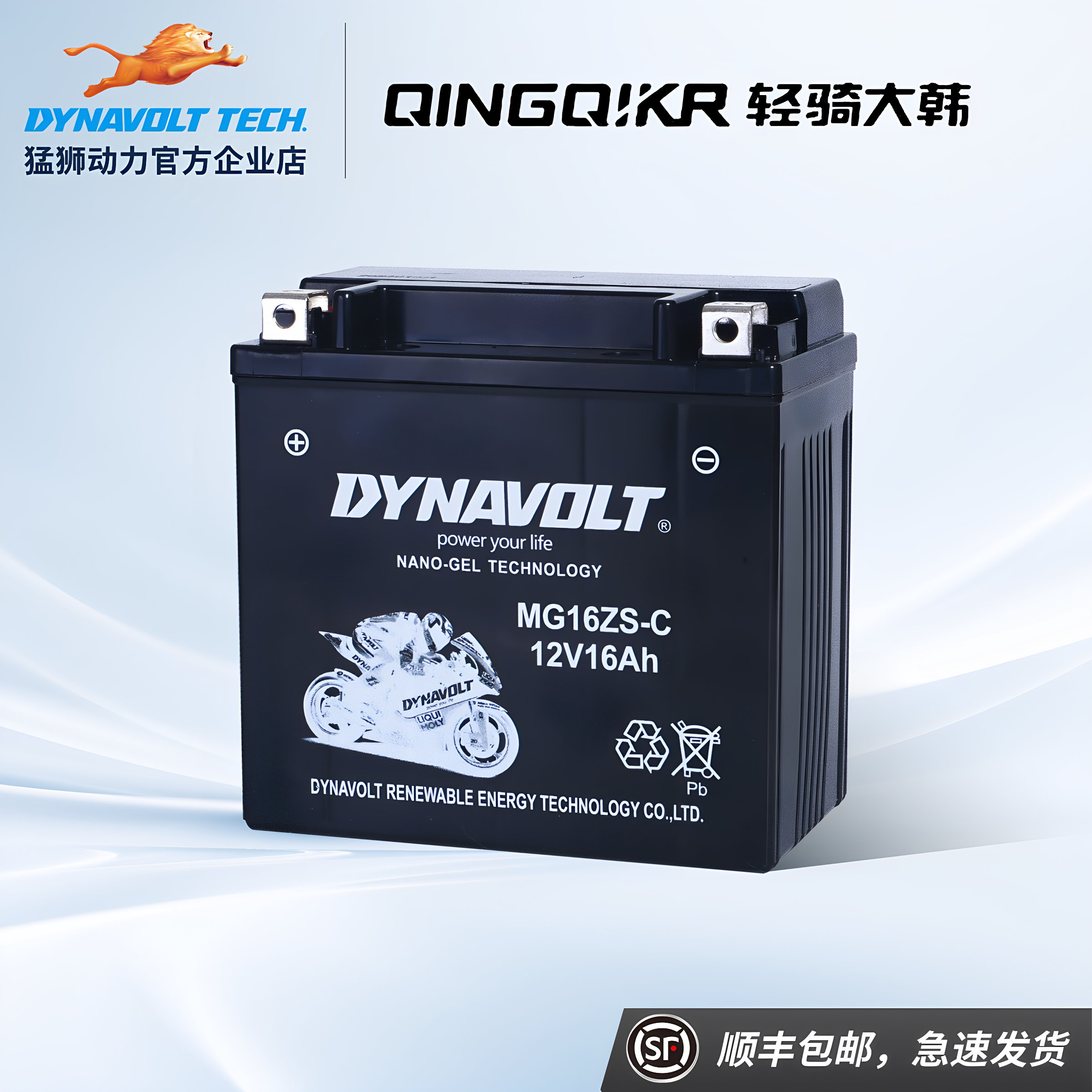 摩托车电瓶猛狮轻骑大韩图片