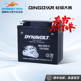 轻骑大韩晓星GV300 GV300S坦影250 GV250 GV650 U侠大脚怪黑7电瓶