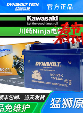 川崎NinjaZ250/300/400/800/900/1000小火神650忍者400摩托车电池