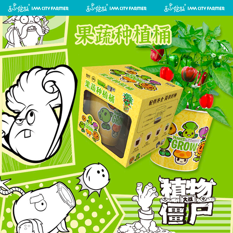 儿童种植小盆栽趣味种植