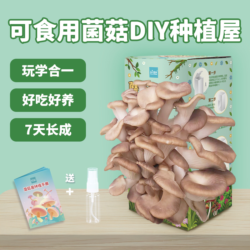 蘑菇种植包可食用diy快速生长