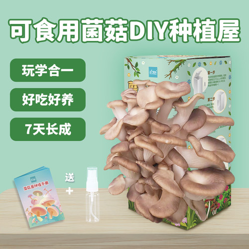 蘑菇种植包可食用diy快速生长