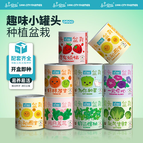 匠心绽放向日葵罐头盆栽儿童种植
