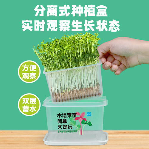 匠心绽放水培蔬菜苗家庭种植套装