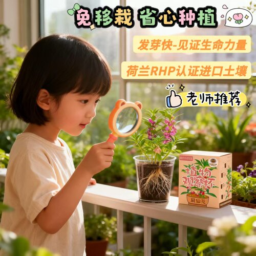 植物观察杯高透明儿童观察根系