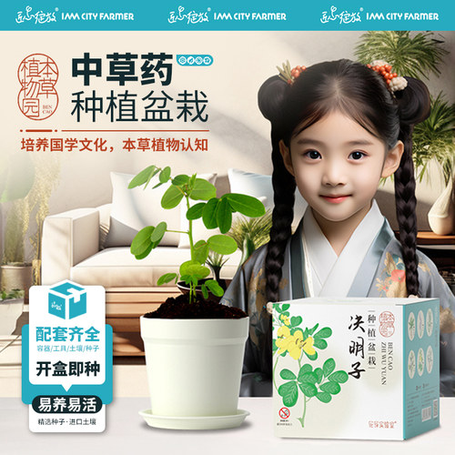 匠心绽放中草药儿童种植小盆栽