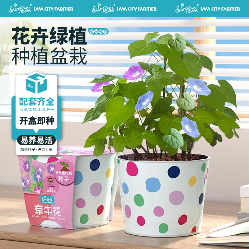 花卉种植盆栽种孑套装