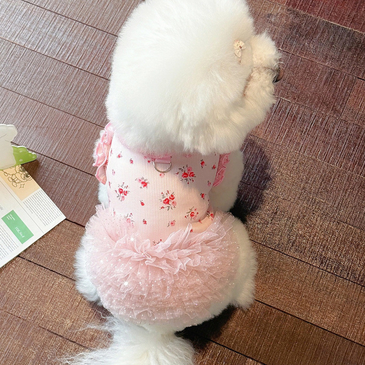 狗狗衣服夏季薄款宠物猫咪背心连衣裙小碎花公主裙金渐层可爱衣服