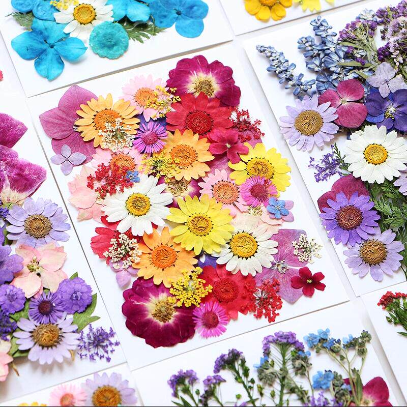 干花diy材料花材包押花包儿童手工植物标本滴胶压花贴画花瓣妆包