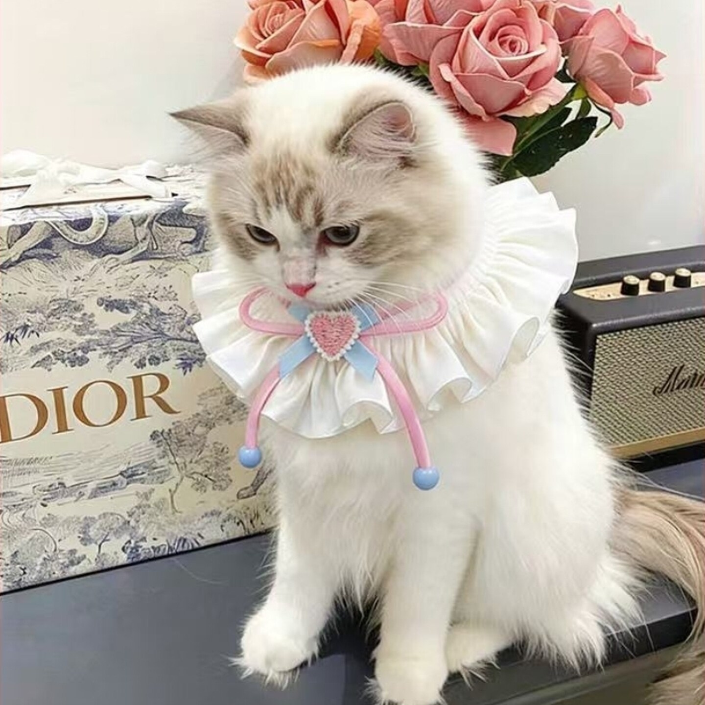 猫咪蕾丝围脖蝴蝶结口水巾宠物装饰围兜手工可爱小猫围巾小狗脖巾