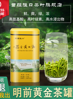 苗疆隘口2025年湘西黄金茶保靖高山炒青明前春茶黄金一号绿茶125g