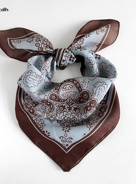 CKDH复古腰果花方巾高级感2025新款秋多功能丝巾发带男女头巾帽子